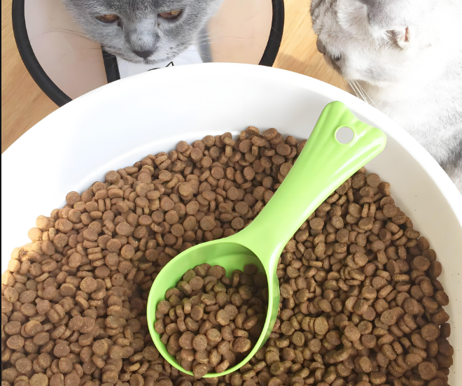 寵物食品檢驗測試服務：全方位守護寵物飲食安全！