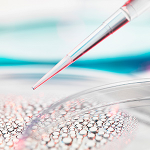 如何生成真實(shí)的液相色譜分析結(jié)果？