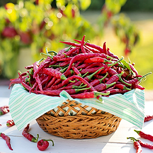 辣椒怎么評(píng)選辣味等級(jí)？當(dāng)然用HPLC來測(cè)啦！