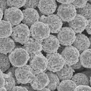 HPLC 固定相的都經(jīng)過的哪些變化？